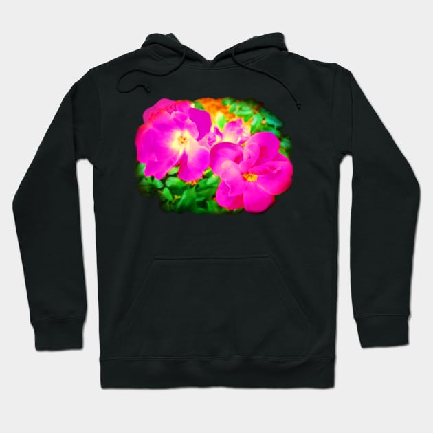 Wild Roses - Hot Pink Hoodie by Suzette Ransome Illustration & Design